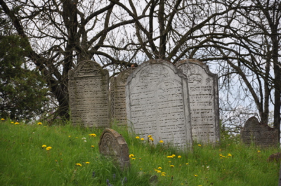 Ztracená tvář židovských hřbitovů